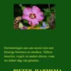 Tuingedichtjes