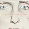 Tuymans volgens Tuymans