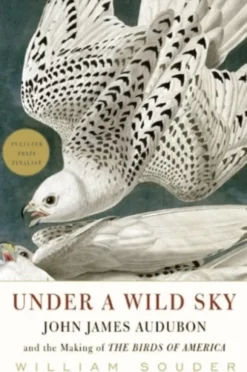 Under a Wild Sky