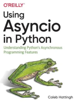 Using Asyncio in Python