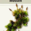 Veldgids mossen