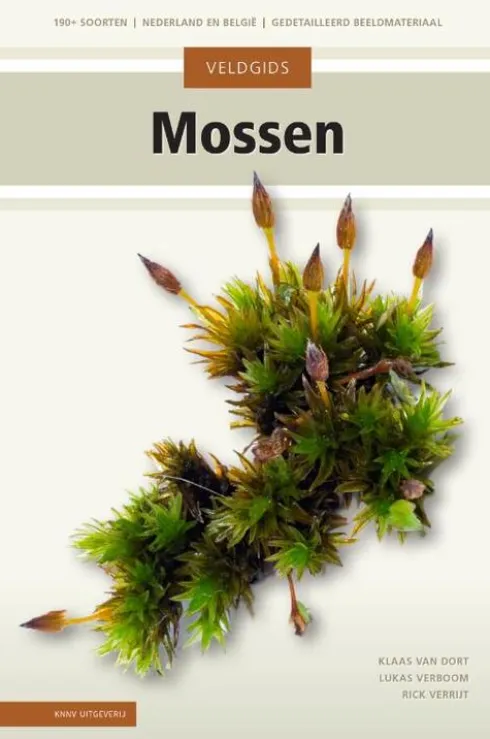 Veldgids mossen