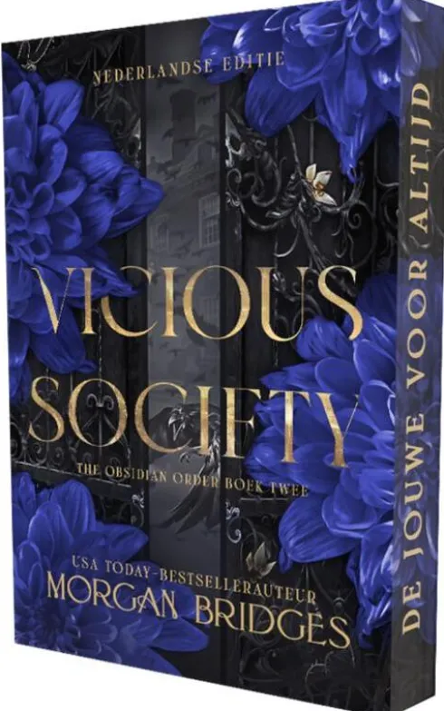 Vicious society