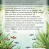 Vissen verzorgen en gezond houden