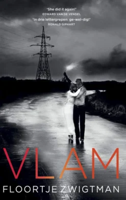 Vlam