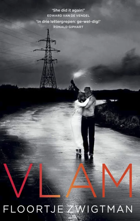 Vlam