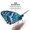 Vlinders