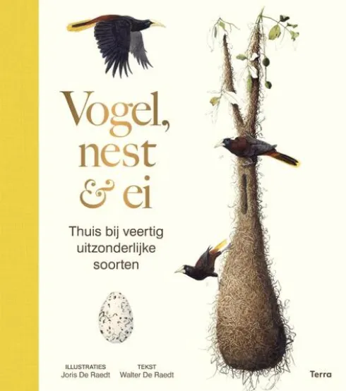 Vogel, nest & ei