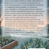 Vorst voorspellen in je moestuin