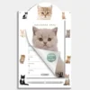 Weekscheurkalender Katten 2026