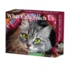 What Cats Teach Us 2026 Box Calendar