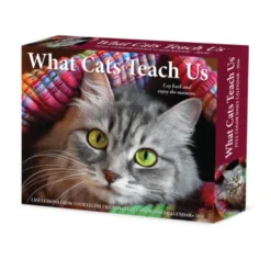 What Cats Teach Us 2026 Box Calendar