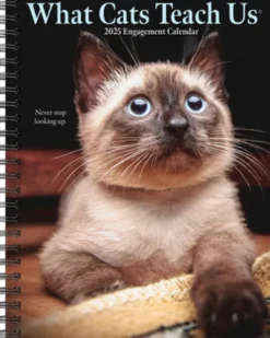 What Cats Teach Us 2026 Engagement Calendar
