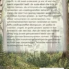 Wie de baas is in het bos
