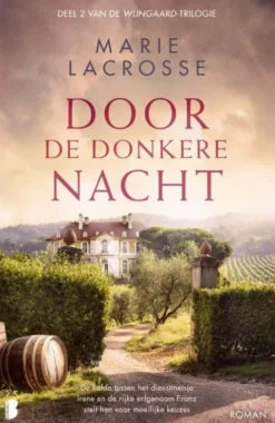 Wijngaard 2 - Door de donkere nacht