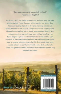 Wijngaard 3 - Zon over de heuvels