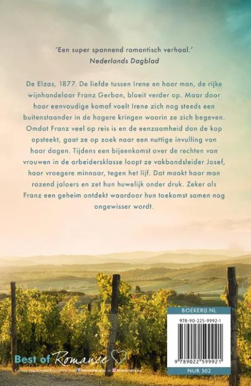 Wijngaard 3 - Zon over de heuvels