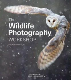 Wildlife Photography Workshop, The