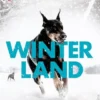 Winterland