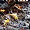 Witness: The Story of a Search