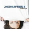 300X Doolhof Niveau 2