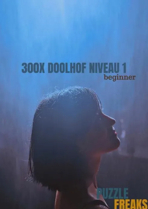 300X Doolhof Niveau 1