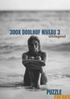 300X Doolhof Niveau 3