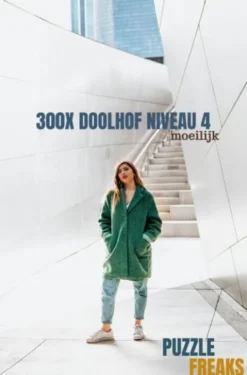 300X Doolhof Niveau 4
