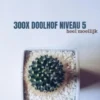 300X Doolhof Niveau 5