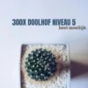 300X Doolhof Niveau 5