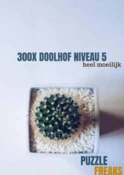 300X Doolhof Niveau 5
