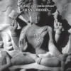 Yoga-Sutra Patanjali vertaling en commentaar Frans Moors