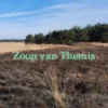 Zoon van Themis