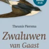 Zwaluwen van Gaast